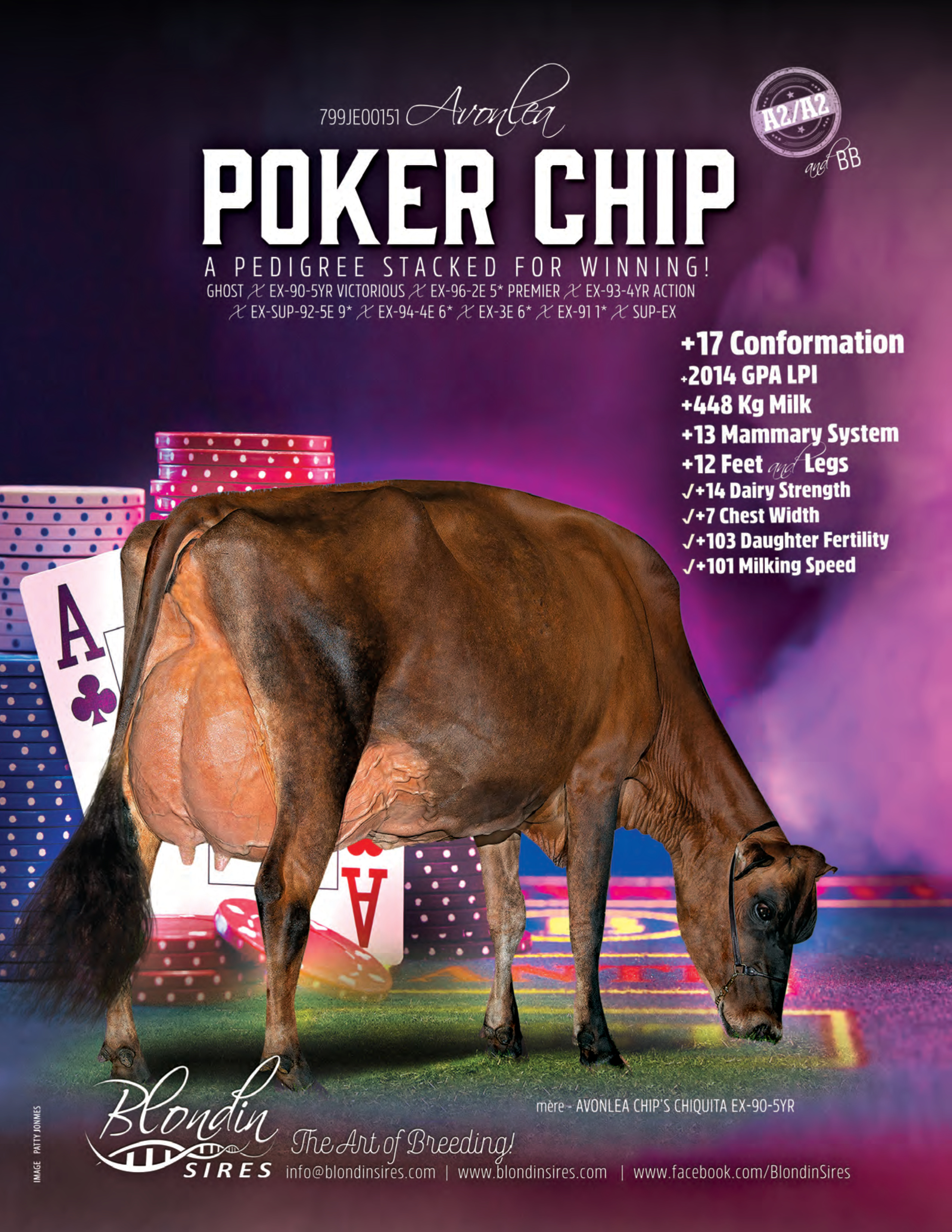 POKER CHIP — 799JE00151